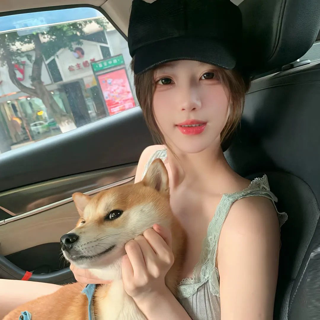 战争姐妹